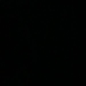 Meet your Posher, Connor